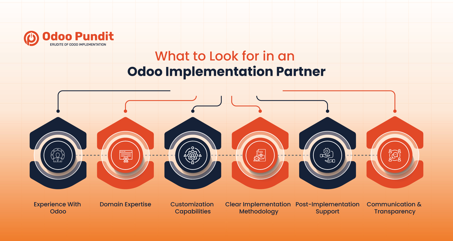 What to Look for in an Odoo Implementation Partner