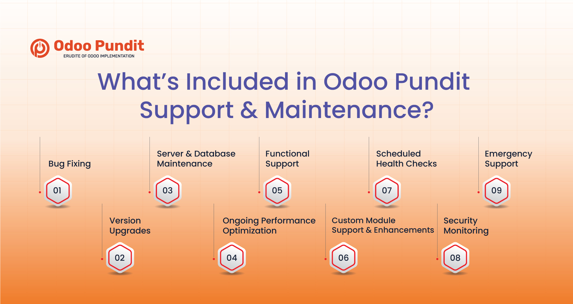 Odoo Pundit Support & Maintenance