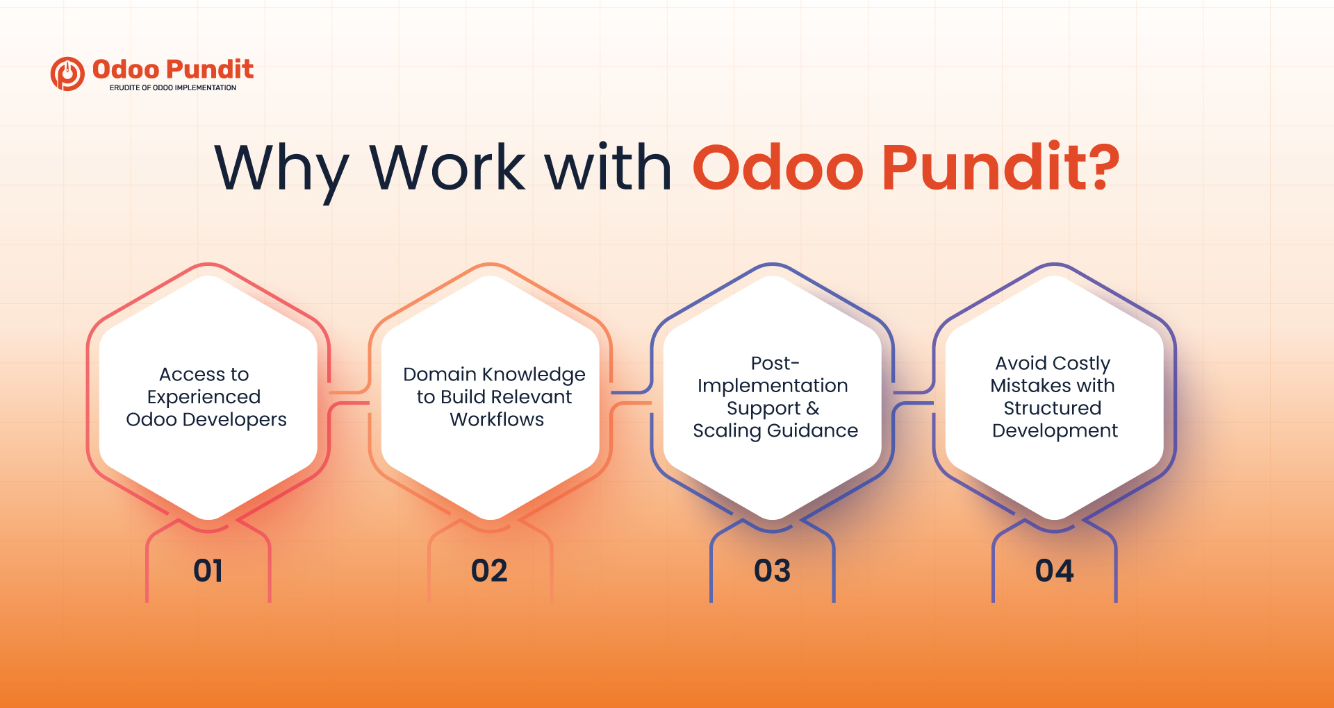 Why Work with Odoo Pundit? Why Work with Odoo Pundit?