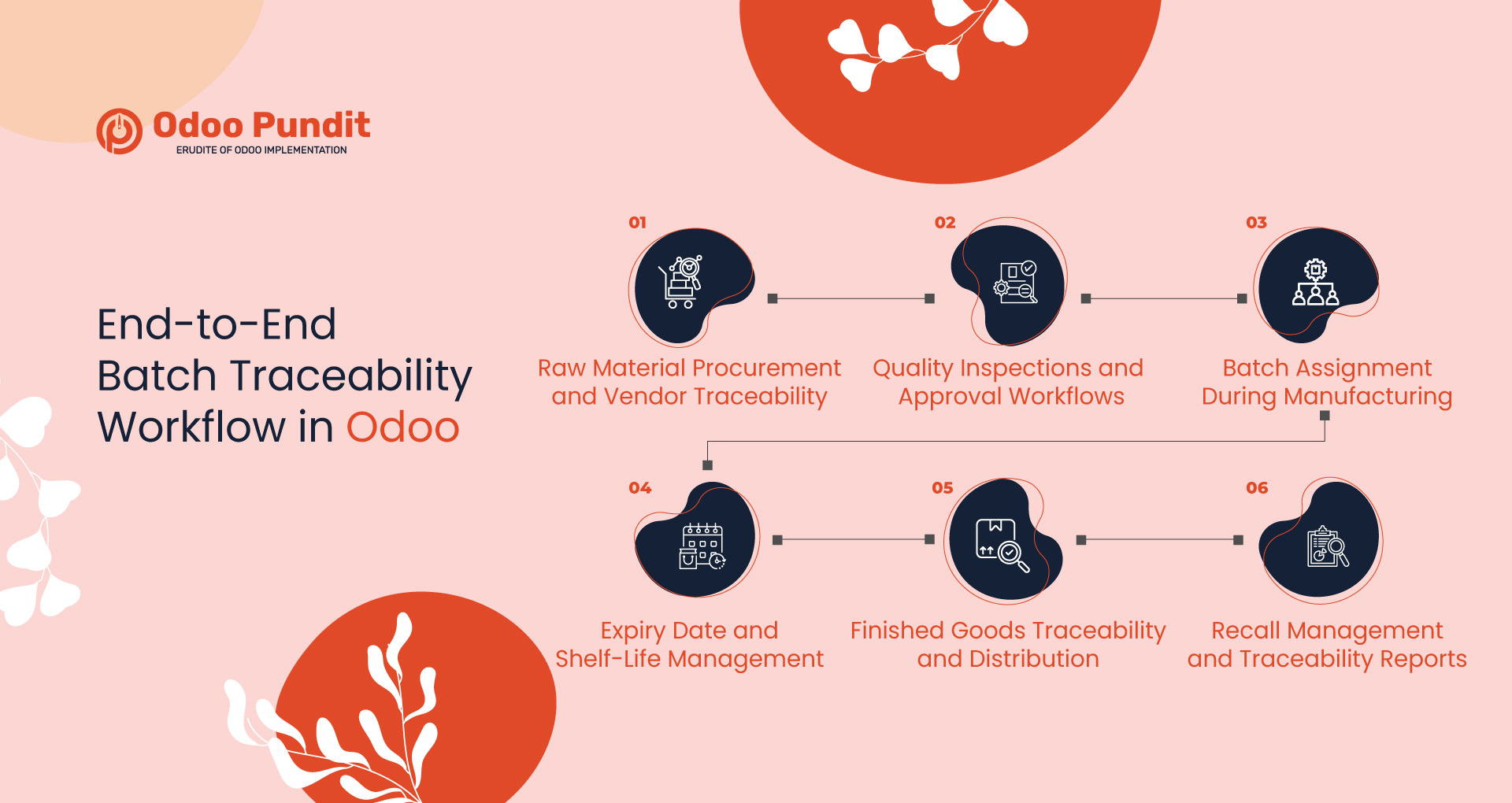 End-to-End Batch Traceability Workflow in Odoo 